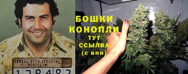 первитин Гусев