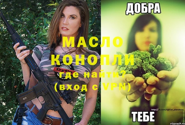 первитин Гусев