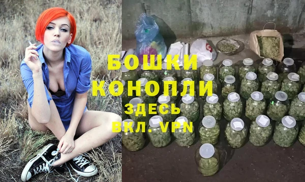 стафф Гусиноозёрск