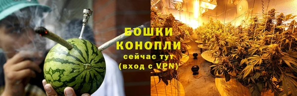 первитин Гусев